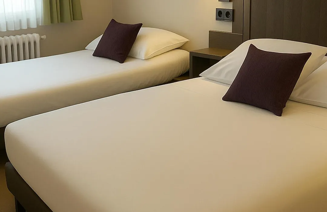 Hotel Albert Elisabeth Gare Sncf-1